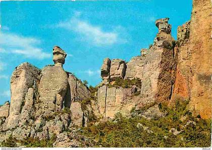 Carte Postale - 48 - Les Gorges du Tarn - Enfre les Gorges du Tarn et de la Joute - CPM - Voir Scans Recto-Verso - Posca
