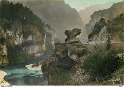 CPM Les Gorges du Tarn Le Champignon