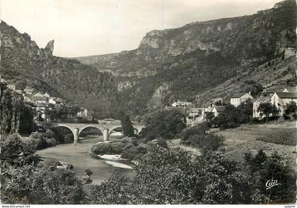 CPM Les Gorges du Tarn Les Vignes