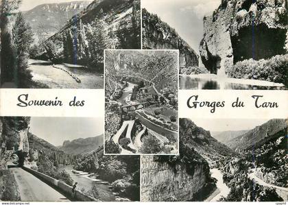CPM Souvenir des Gorges du Tarn