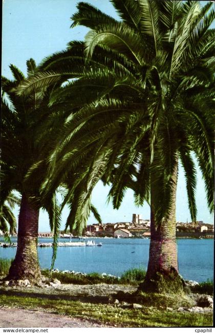 CPA Antibes Vue Sur La Vieille Ville