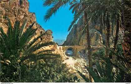 CPM Biskra Les gorges