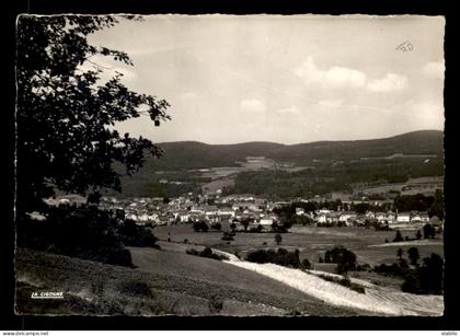 88 - GRANGES-SUR-VOLOGNE - VUE GENERALE
