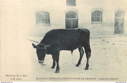 CPA Grignon  78/200