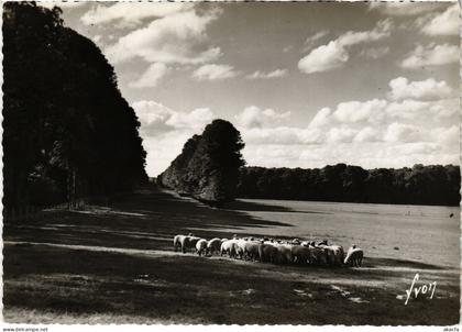 CPM Grignon Moutons au paturage FRANCE (1452657)