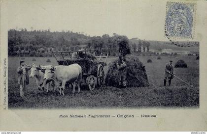 D78 - GRIGNON - ECOLE NATIONALE D'AGRICULTURE - LA FENAISON