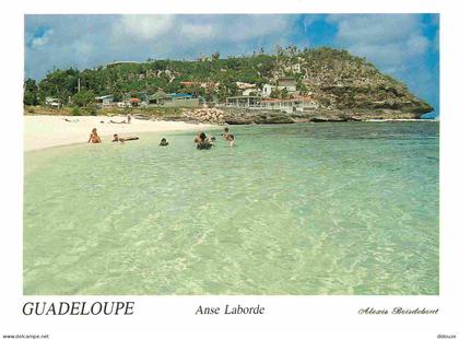 Carte Postale - Guadeloupe - Anse-Bertrand - Anse Laborde - plage - CPM - Voir Scans Recto-Verso