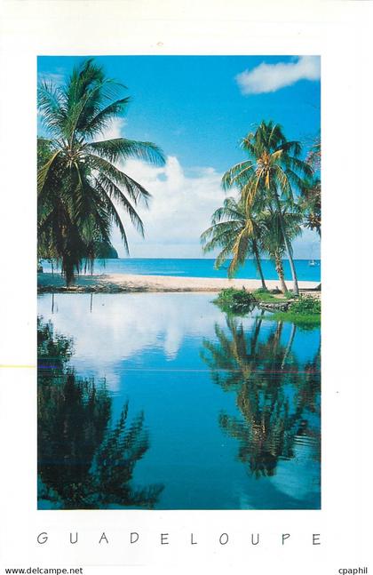 CPM Guadeloupe reflet
