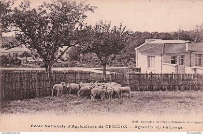 78 GRIGNON ECOLE NATIONALE D AGRICULTURE DE GRIGNON