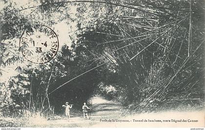 Guyane - Forêt de la Guyane - Tunnel de bambous, route du Dégrad des Cannes - Ed. Bruère-Dawson - La Conscience