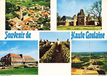 44 HAUTE GOULAINE