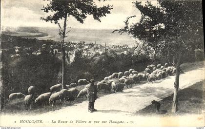 CPA Houlgate La Route de Villers et Vue sur Houlgate Berger et moutons
