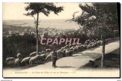 CPA Houlgate La Route de Villers et Vue sur Houlgate Berger et moutons