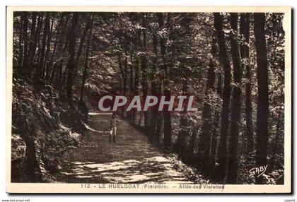Huelgoat - Allee des Violettes - CPA