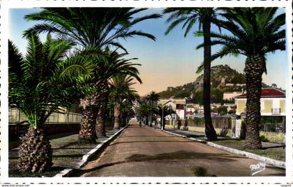 CPSM Hyeres Avenue Godillot