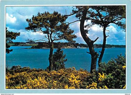 Carte Postale - 56 - Ile aux Moines - CPM - Voir Scans Recto-Verso - Poscard - Carta Postal -  Postkarte