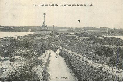 REPRO Ile aux Moines Le Calvaire et la Pointe du Trech