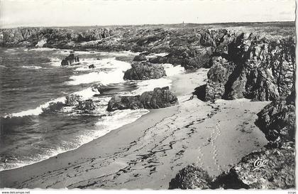 CPM Ile D'Yeu La Plage des Sables Rouits