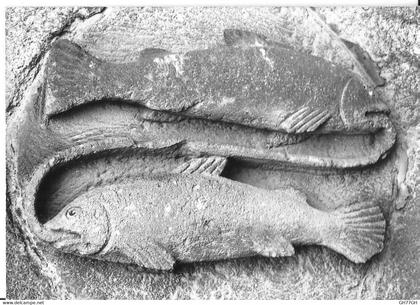 CP ISSOIRE -église Saint-Austremoine -POISSONS