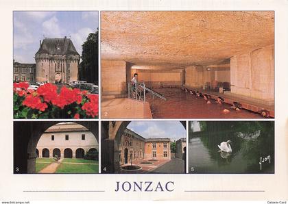 17 JONZAC CHATEAU DE JONZAC