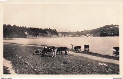 22 JUGON LES LACS L ETANG