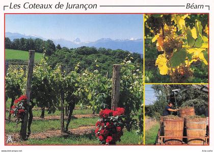 64 JURANCON LES COTEAUX DE JURANCON