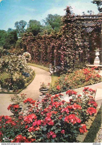 Carte Postale - 94 - L'hay-les-roses - La roseraie - Fleurs - CPM - Voir Scans Recto-Verso