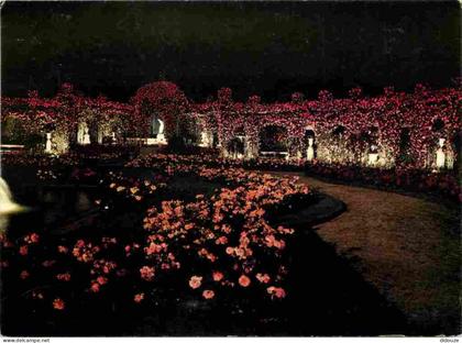 Carte Postale - 94 - L'Hay les Roses - La Roseraie - Fleurs - Roses - CPM - Voir Scans Recto-Verso - Poscard - Carta Pos