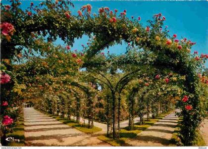 Carte Postale - 94 - L'Hay les Roses - La Roseraie - Fleurs - Roses - CPM - Voir Scans Recto-Verso - Poscard - Carta Pos