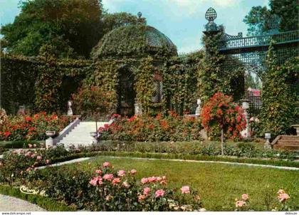 Carte Postale - 94 - L'Hay les Roses - La Roseraie - Fleurs - Roses - CPM - Voir Scans Recto-Verso - Poscard - Carta Pos