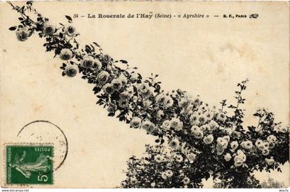 CPA L'Hay les Roses Roseraie Ayrshire (1348955)