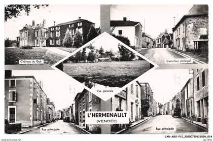 CAR-AGOP12-0656-85 - L'HERMENAULT - Divers aspects