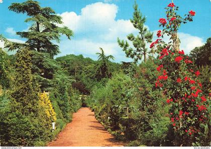 78 LA CELLE SAINT CLOUD