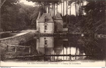 CPA La Chataigneraie L'Etang de Jourdain