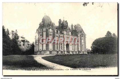 CPA La Chataigneraie Le Chateau du Chatenay