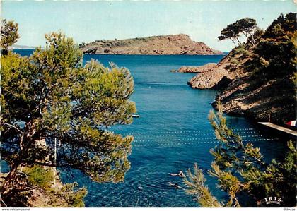 Carte Postale - 13 - La Ciotat - La Calanque du Petit Mugel et l'Ile Verte - Flamme Postale de La Ciotat - CPM - Voir Sc