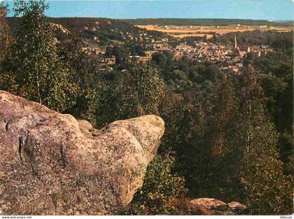 Carte Postale - 91 - La Ferté-alais - Vue générale -  -  -  -  - CPM -  -  - Voir Scans Recto-Verso