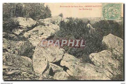 CPA Environs de la Ferte Alais Boissy Les Roches