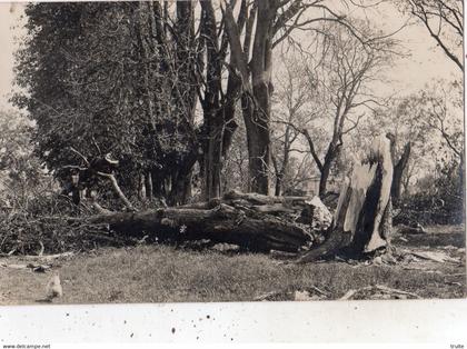 LA GUERCHE-SUR-L'AUBOIS ET SES ENVIRONS TORNADE ? (CARTE PHOTO )