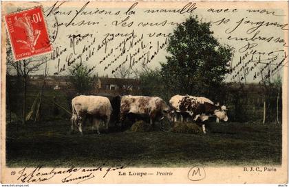 CPA La LOUPE - Prairie (385708)