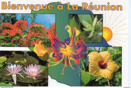 Ile de la Réunion les Fleurs de La Réunion DOM TOM