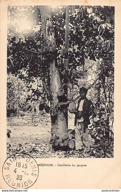 La Réunion - La cueillette du Jacques - Ed. inconnu