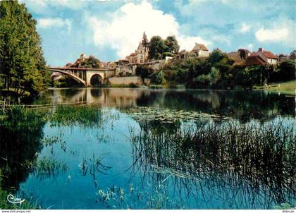 Carte Postale - 86 - La Roche Posay - Le site majestueux de la Creuse au pied de La Roche-Posay - CPM - Voir Scans Recto