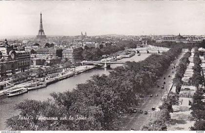 AK 195125 FRANCE - Paris - Panorama sur la Seine