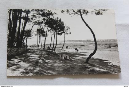 Cpsm 1955, la Trinité sur mer, Poul Ber Kerdio Vras, Morbihan 56