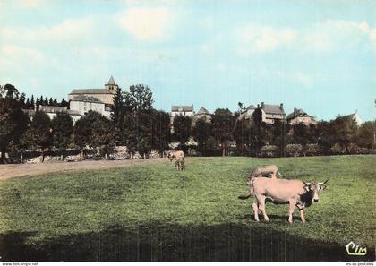 12 LAGUIOLE PATURAGE AUTOUR DE LAGUIOLE