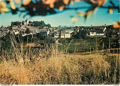 Carte Postale - 12 - Laguiole - Vue Générale - CPM - Voir Scans Recto-Verso - Poscard - Carta Postal -  Postkarte