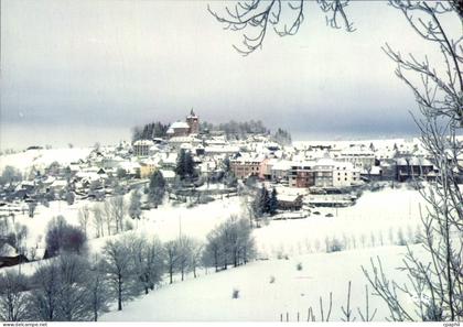 CPA Laguiole Aveyron Sous la neige Vue generale