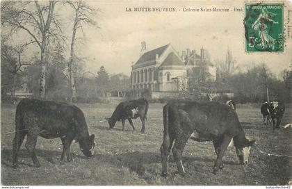 CPA Lamotte Beuvron 41/54