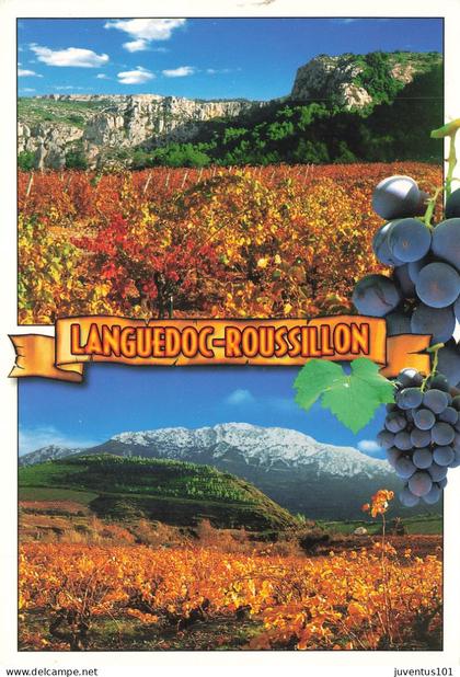 CPSM Languedoc Roussillon-Timbre     L4653